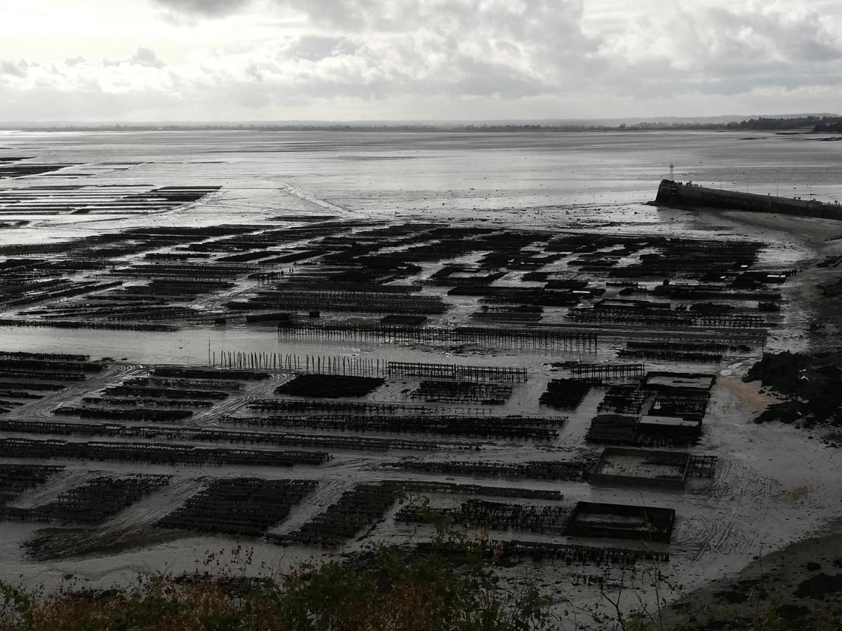 Chambres D'Hotes Les Fleurettes En Baie Du Mont Saint Michel Esterno foto